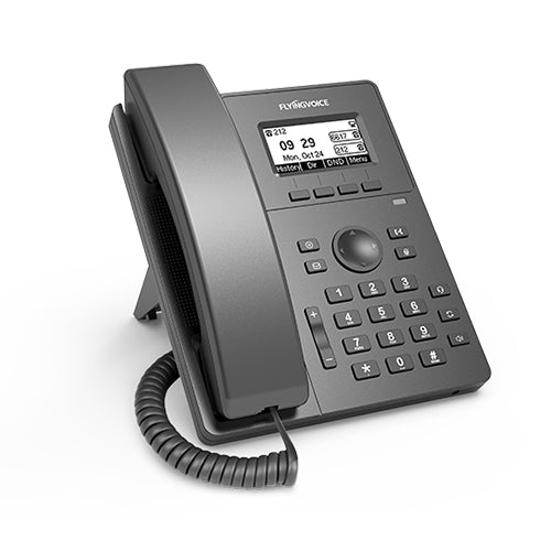 FlyingVoice High Performance IP Phone P10G