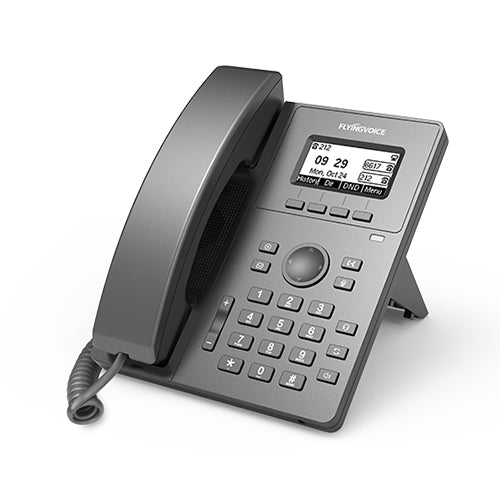 FlyingVoice High Performance IP Phone P10G